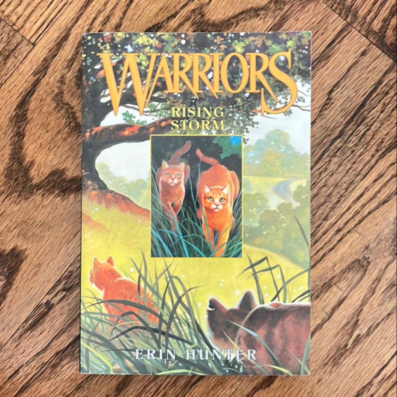 Warriors: Rising Storm