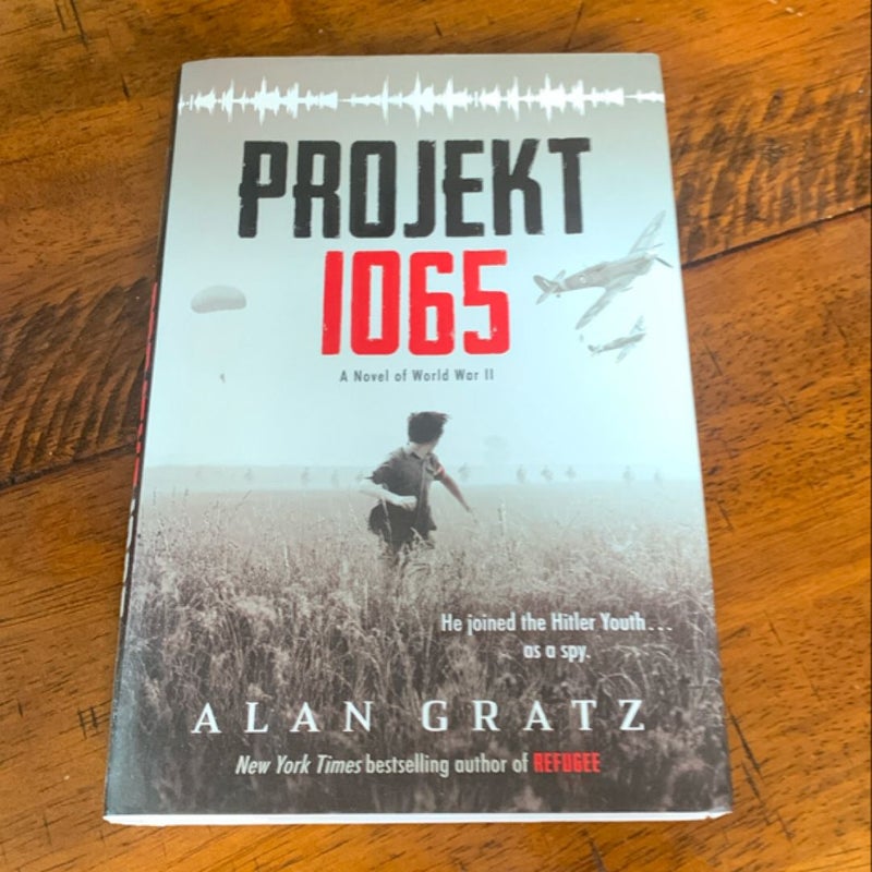 Projekt 1065