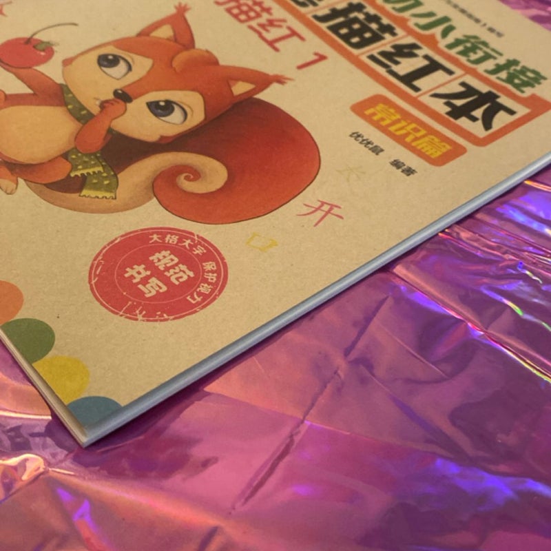 Chinese Workbook+Study Sheets 