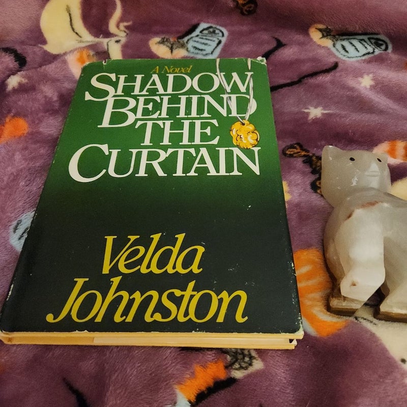 Shadow Behind The Curtain 