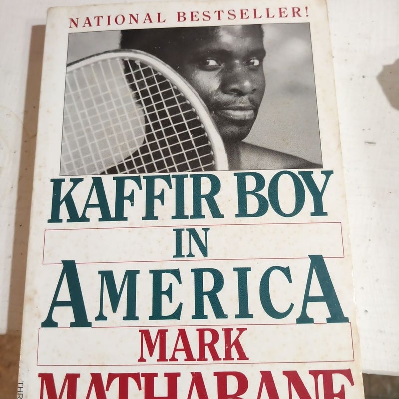 Kaffir Boy in America