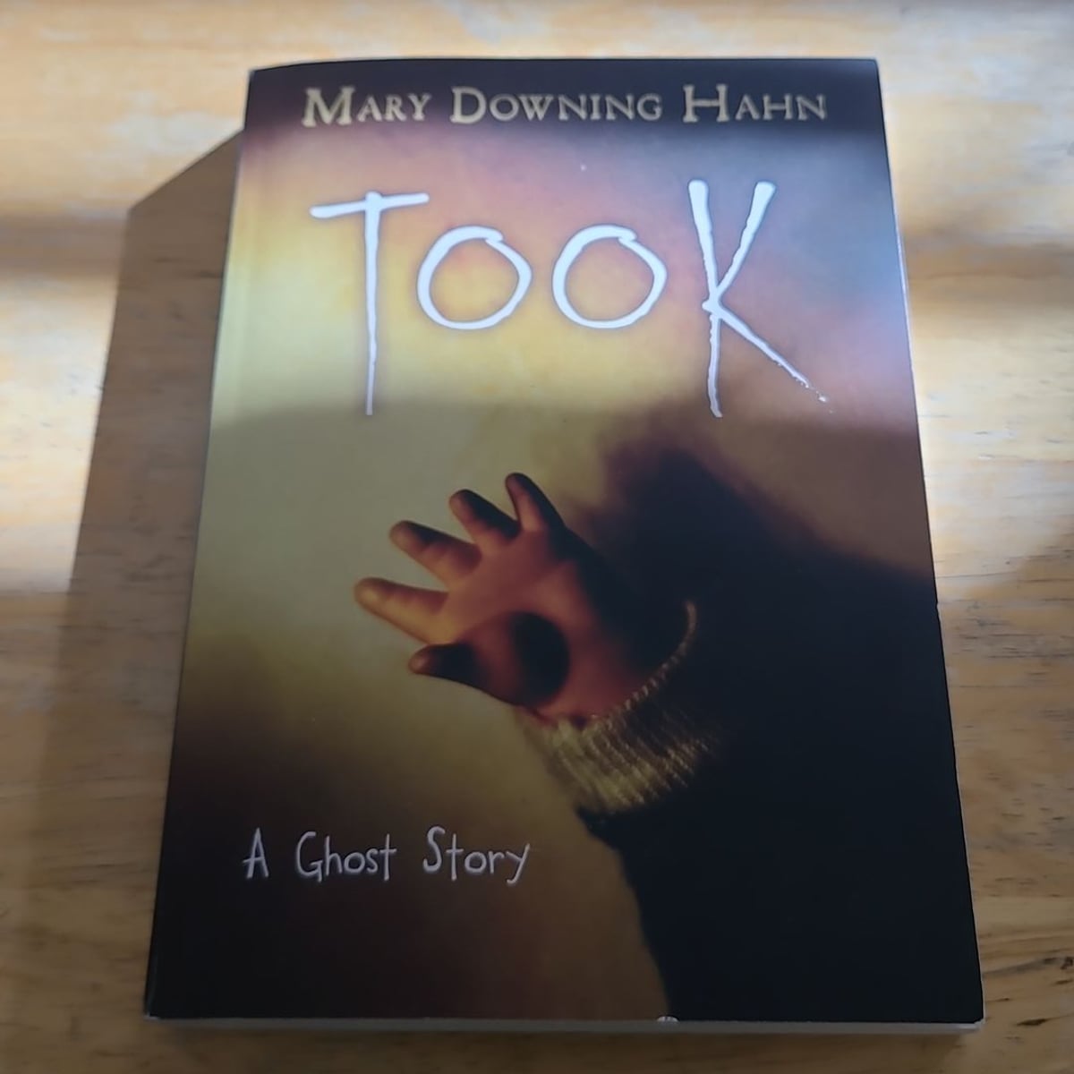 Took by Mary Downing Hahn, Paperback | Pangobooks