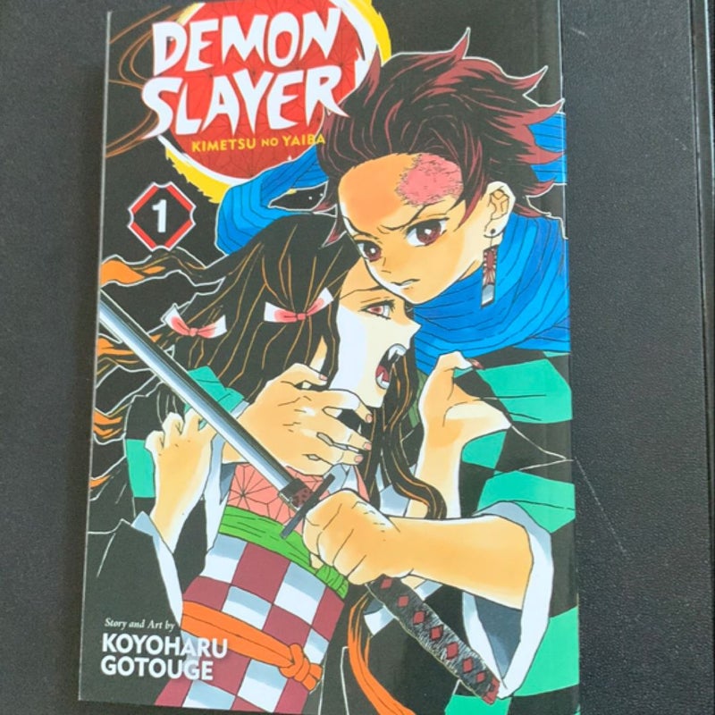 Demon Slayer: Kimetsu No Yaiba, Vol. 1