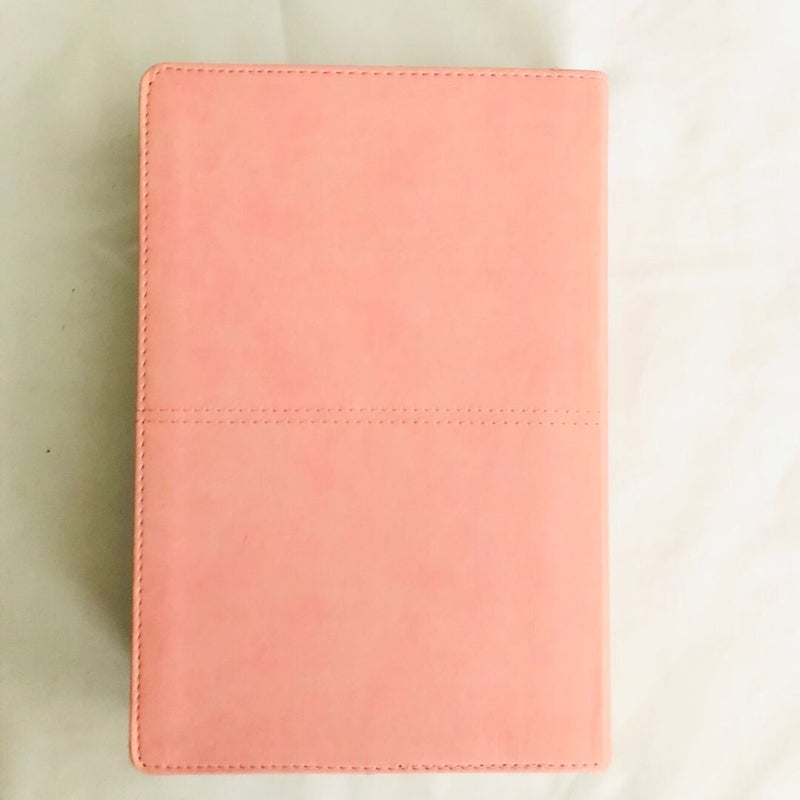 HCSB Large Print Personal Size Bible, Pink/Brown LeatherTouch Indexed