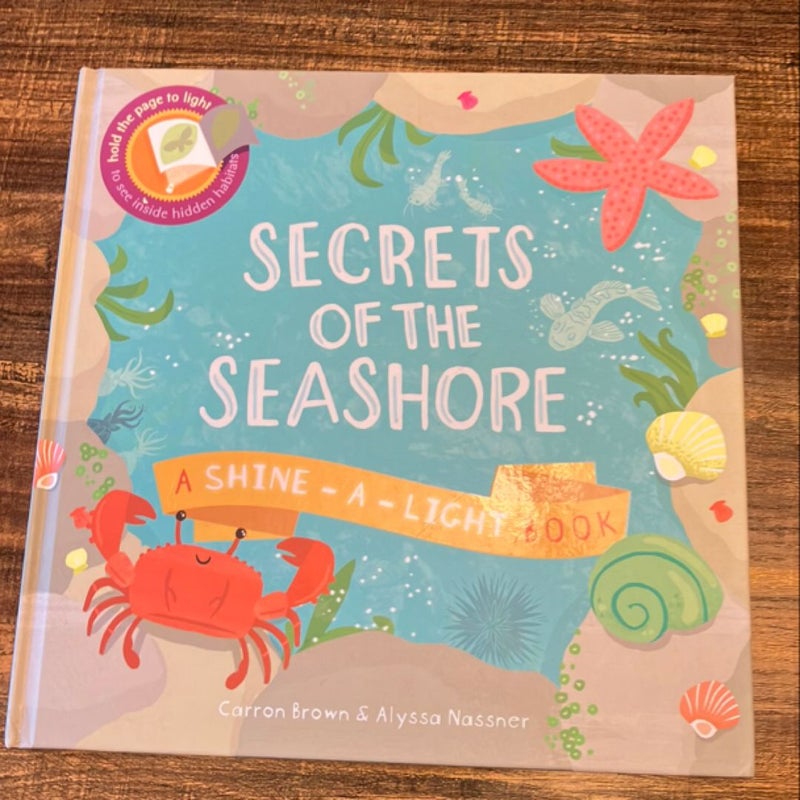 Secrets of the Seashore