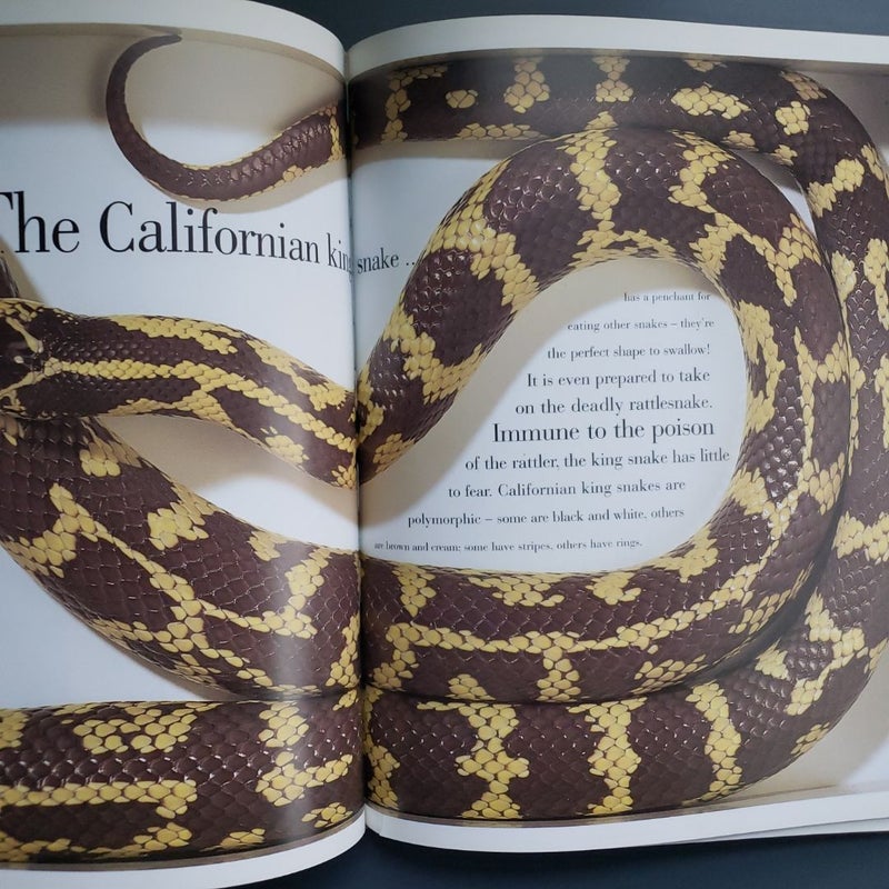 The Snake Book