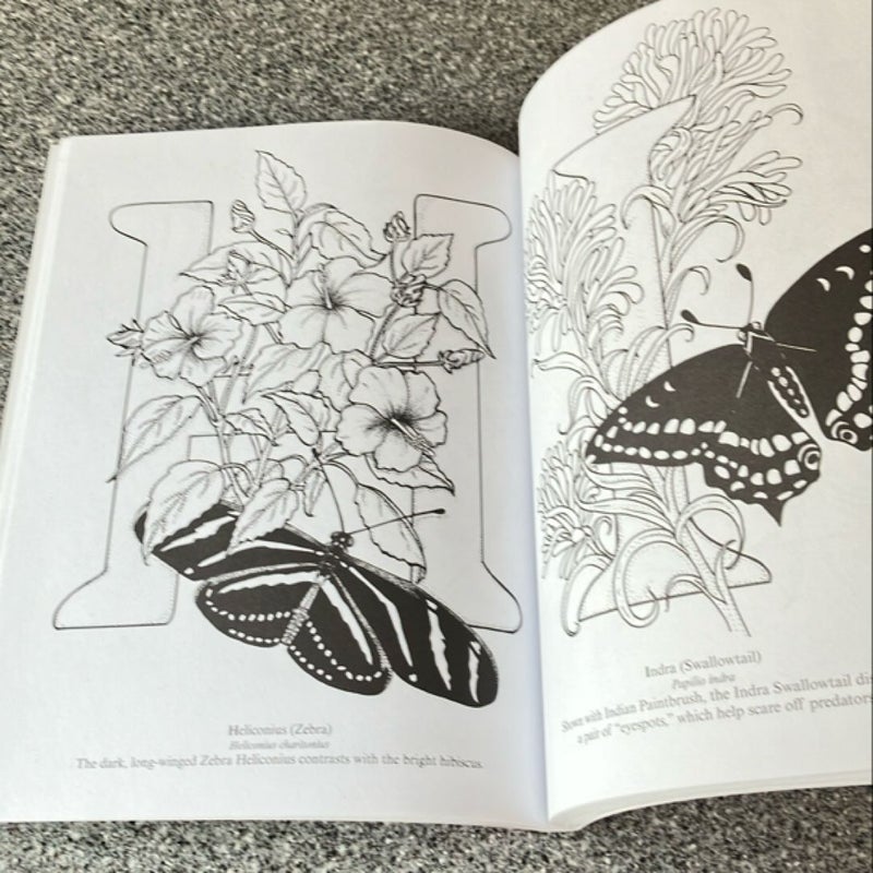 3-D Coloring Book - Butterfly Designs