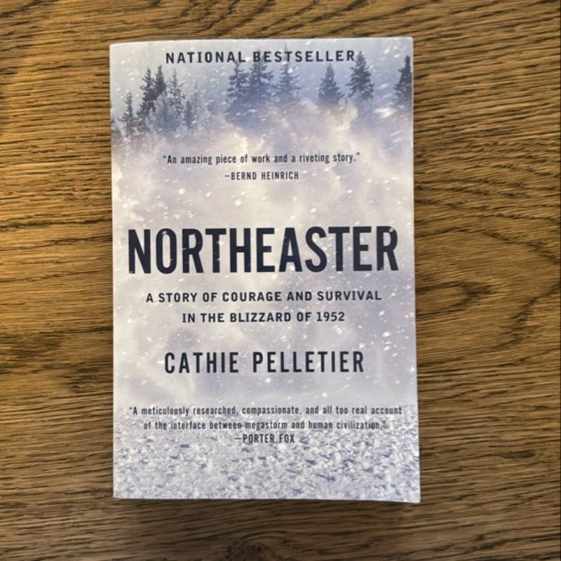 Northeaster