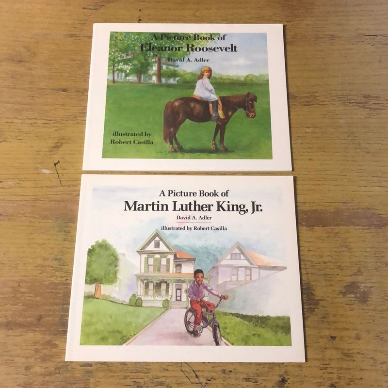A Picture Book Biography Bundle