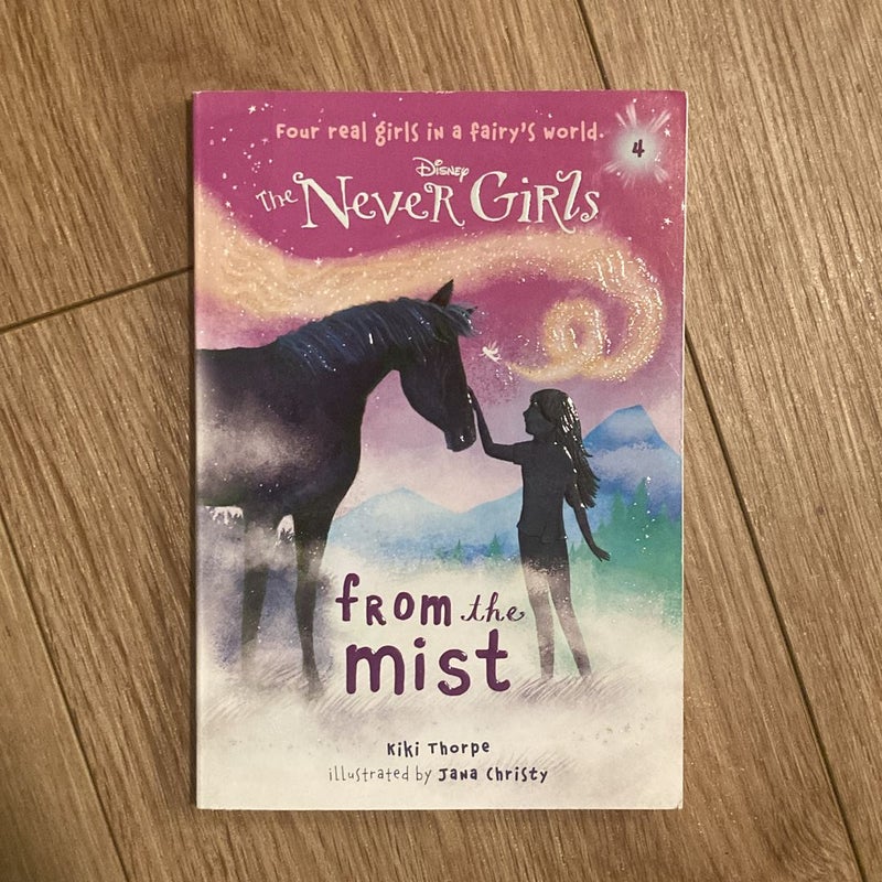 Disney The Never Girls (5) Chapter Book Bundle