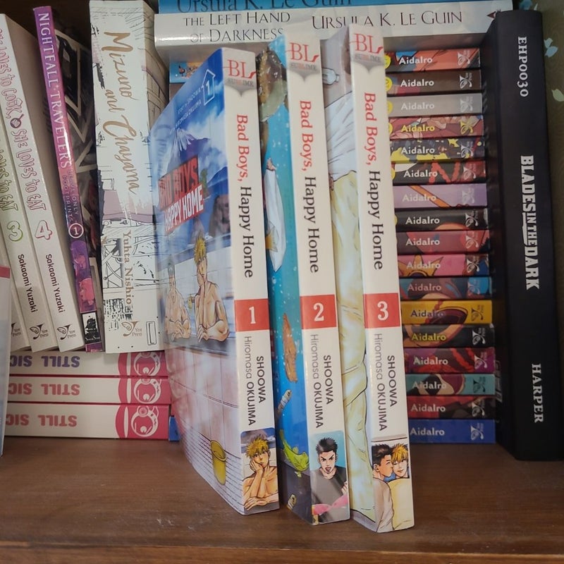 Bad Boys, Happy Home, Vol. 1-3