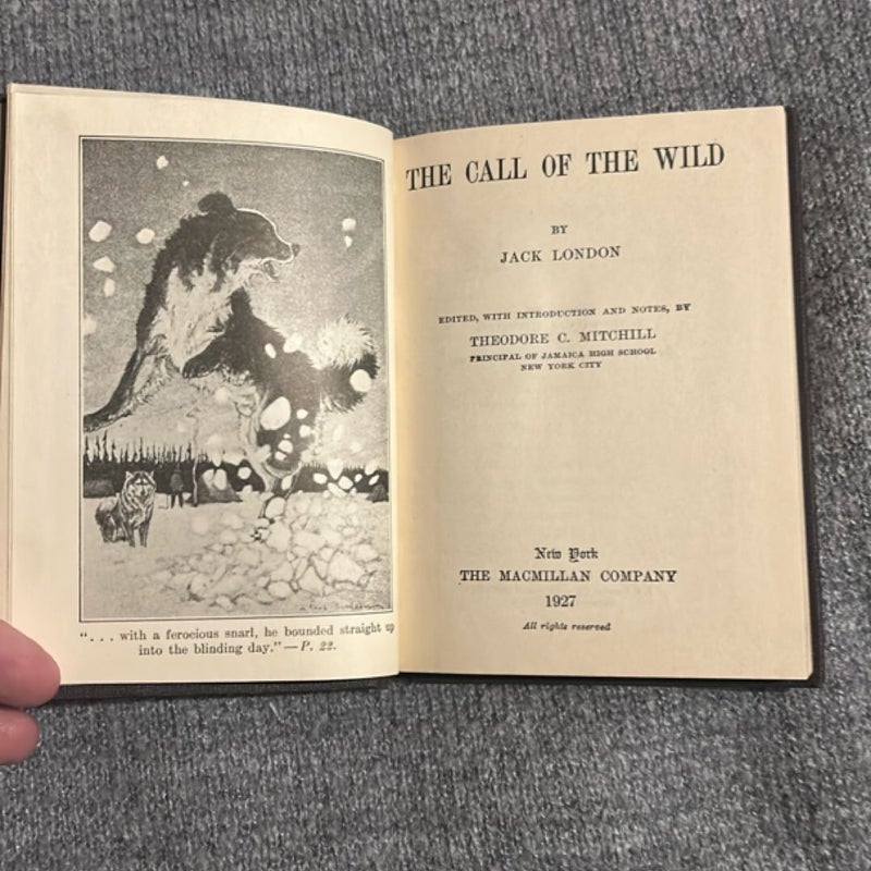 Call of the Wild 