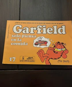 Garfield #17 (in Spanish)