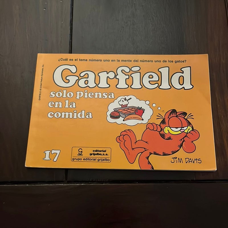Garfield #17 (in Spanish)