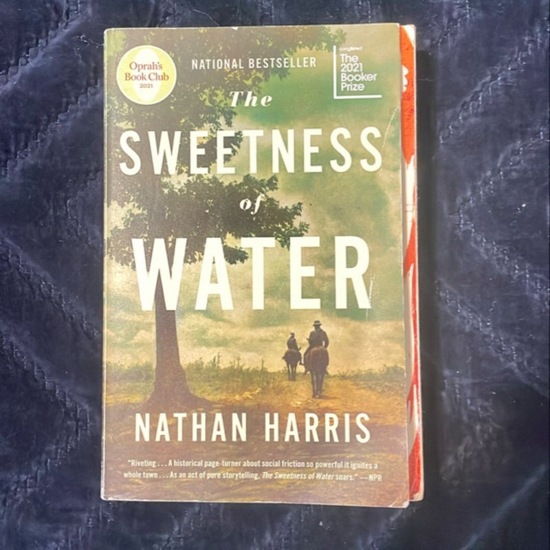 The Sweetness of Water (Oprah's Book Club)