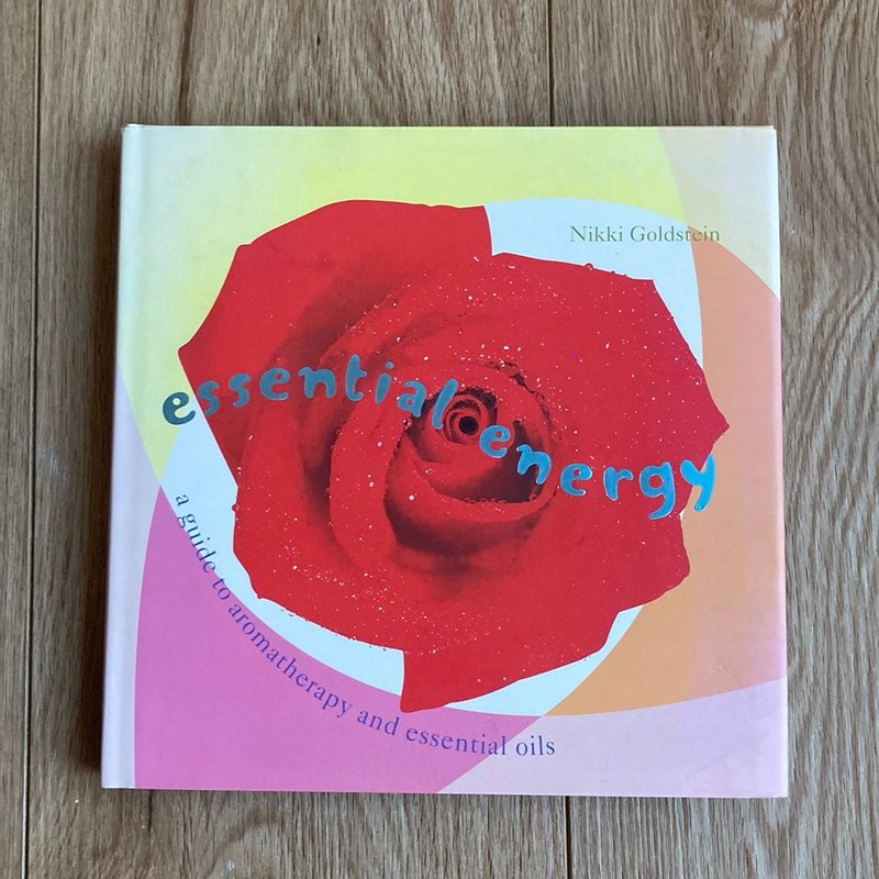 essential-energy-by-nikki-goldstein-hardcover-pangobooks