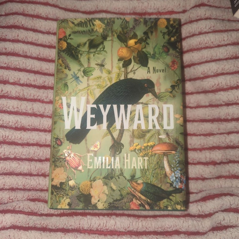 Weyward