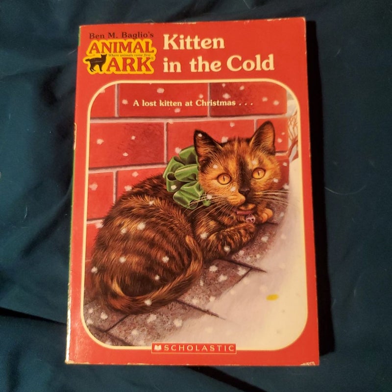 Kitten in the Cold