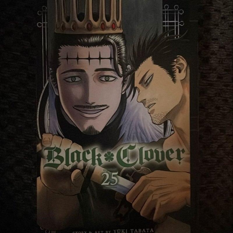 Black Clover, Vol. 25