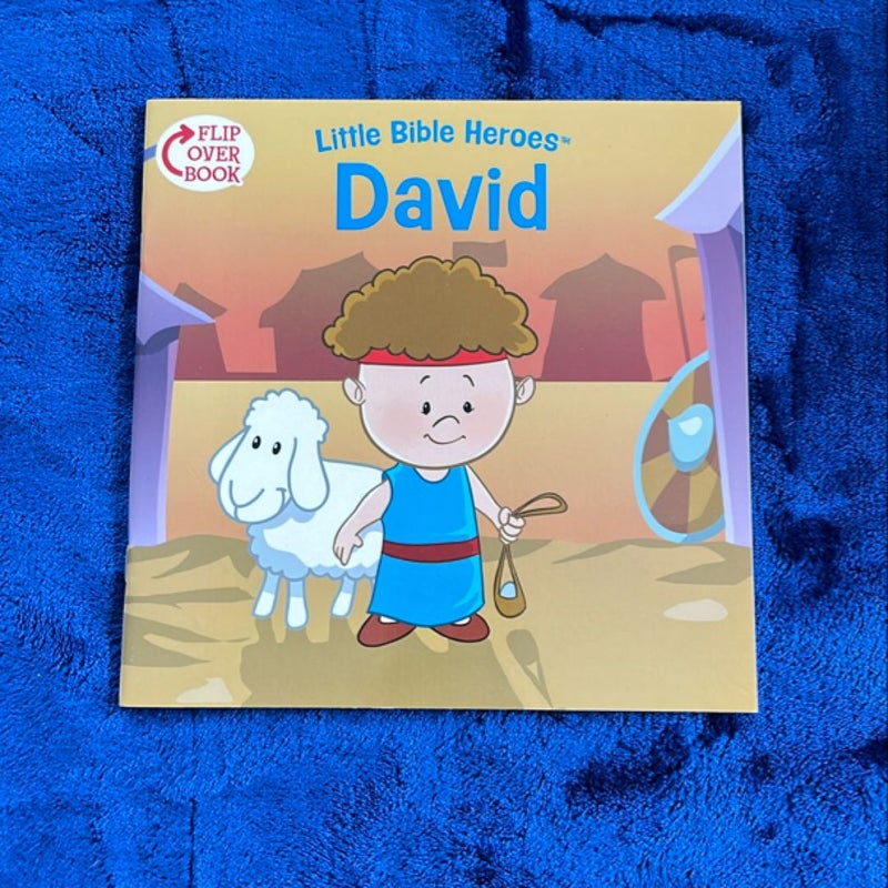 David / Esther Flip-Over Book