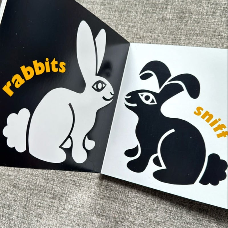 Look at the Animals! (Board Book)