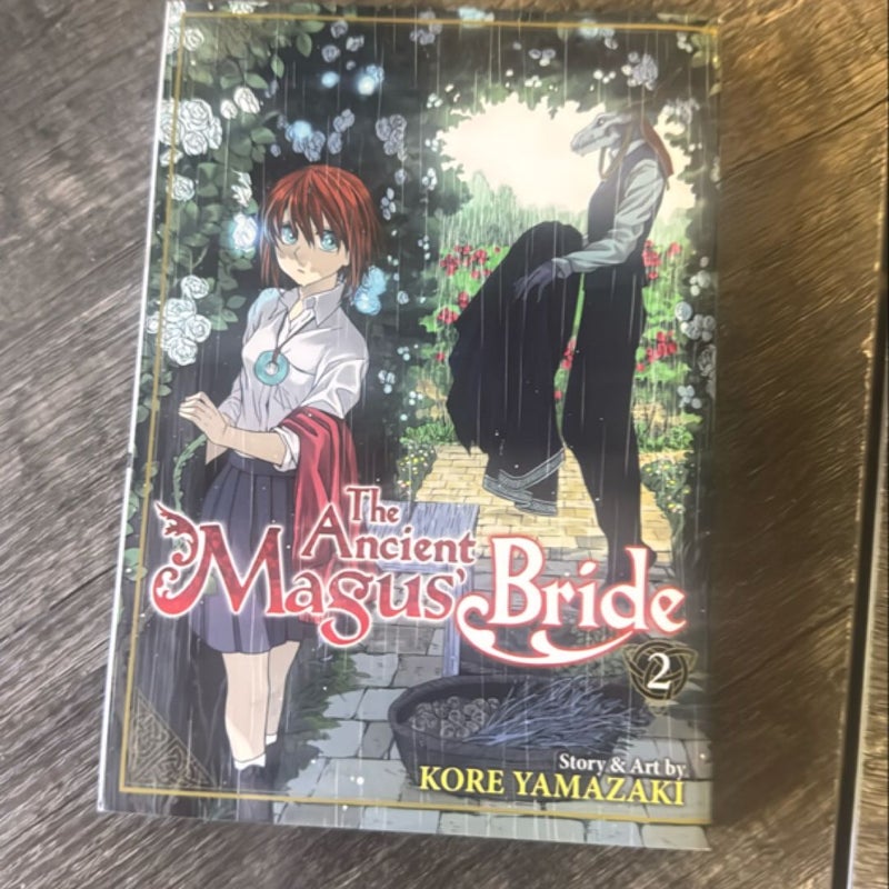 The Ancient Magus' Bride Vol. 2