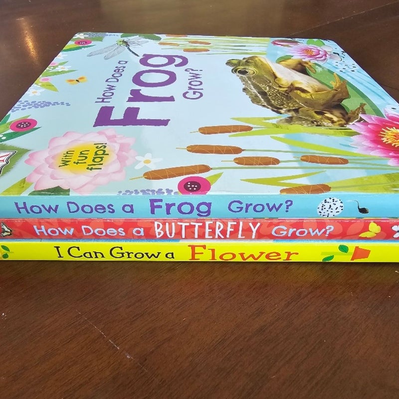 Growing Lift Flap Board Books by DK Set of 3