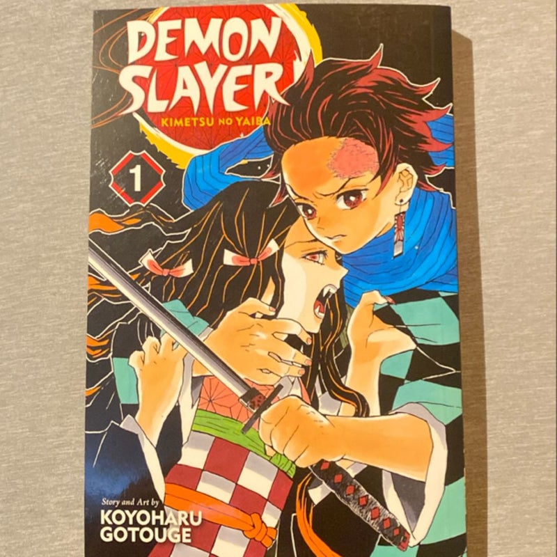 Demon Slayer: Kimetsu No Yaiba, Vol. 1