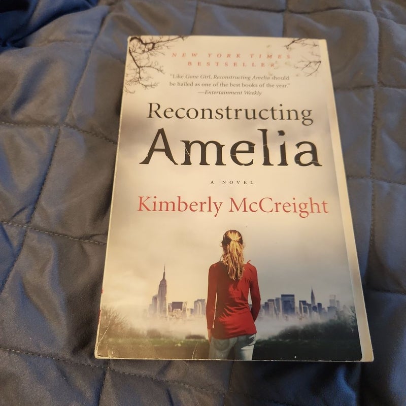 Reconstructing Amelia