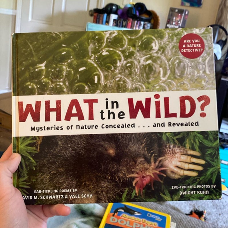 What in the Wild?
