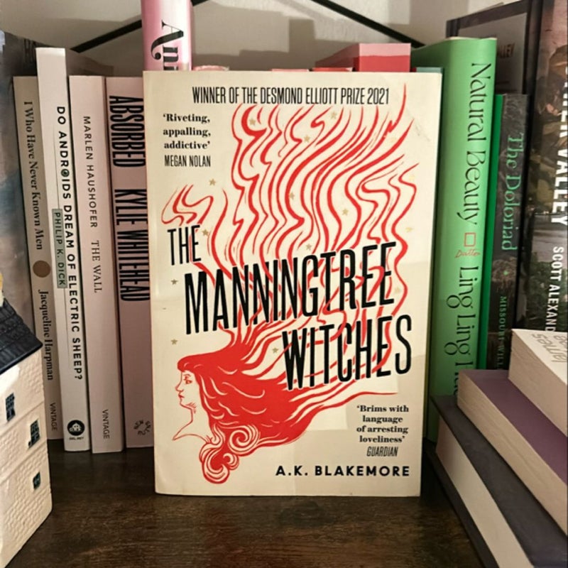 The Manningtree Witches