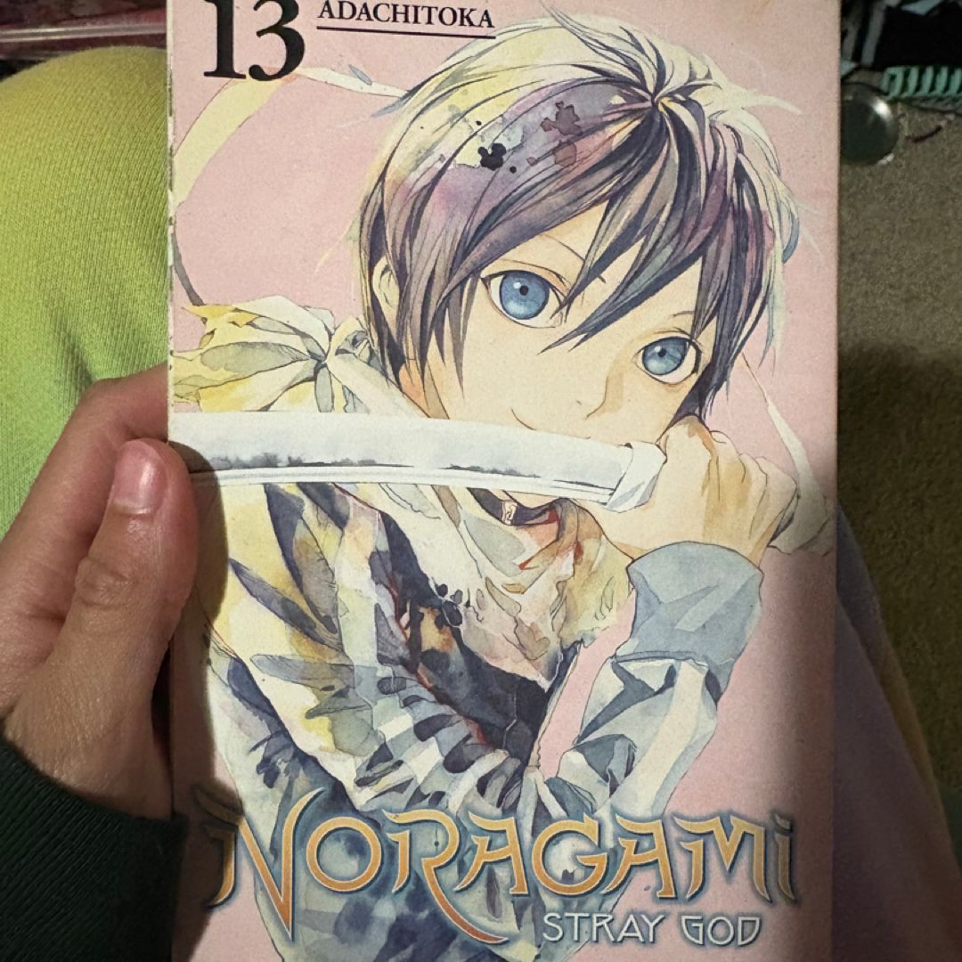 Noragami: Stray God 13