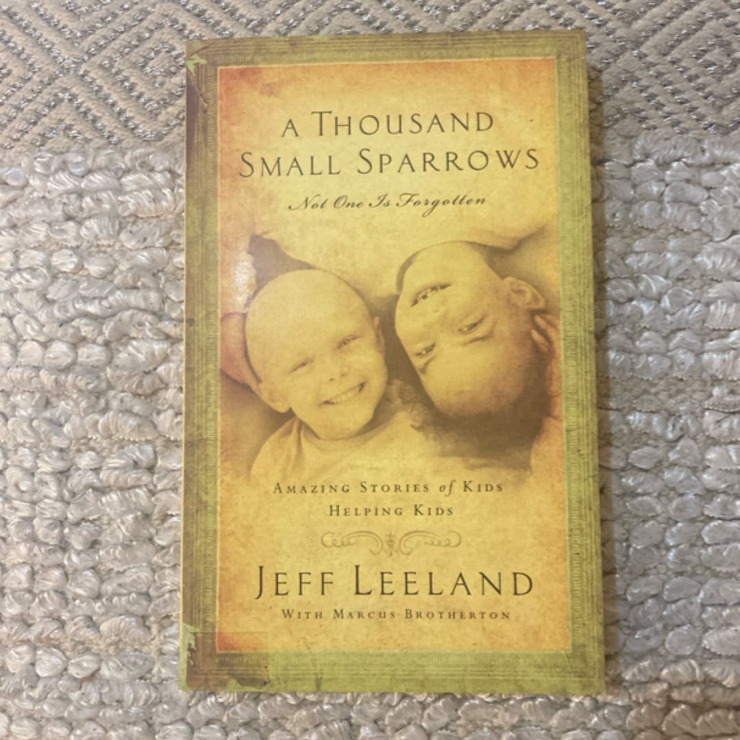 A Thousand Small Sparrows