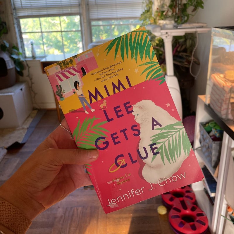 Mimi Lee Gets a Clue