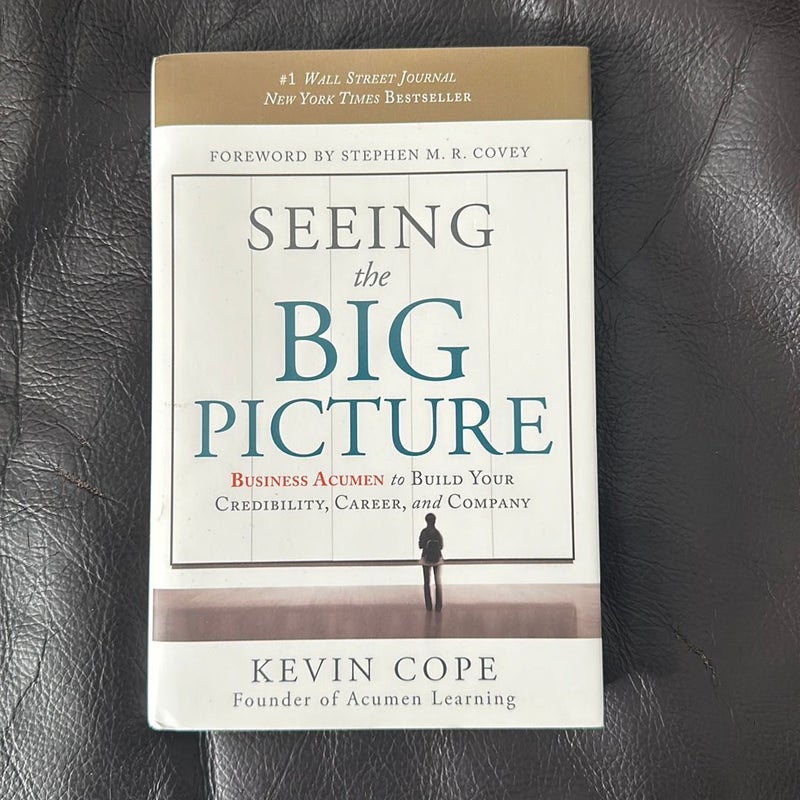 Seeing the Big Picture