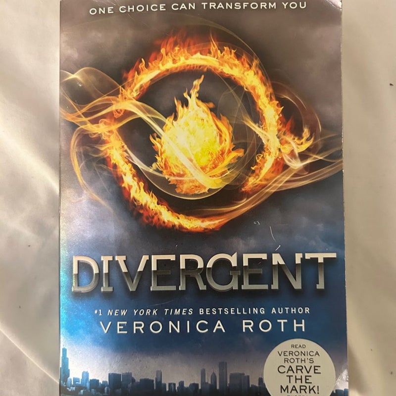 Divergent Series 1-4