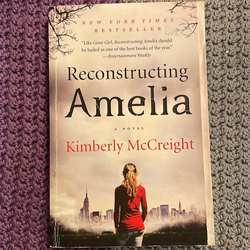 Reconstructing Amelia