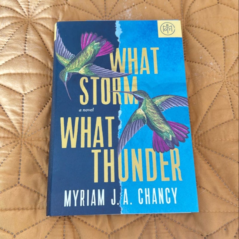 What Storm, What Thunder