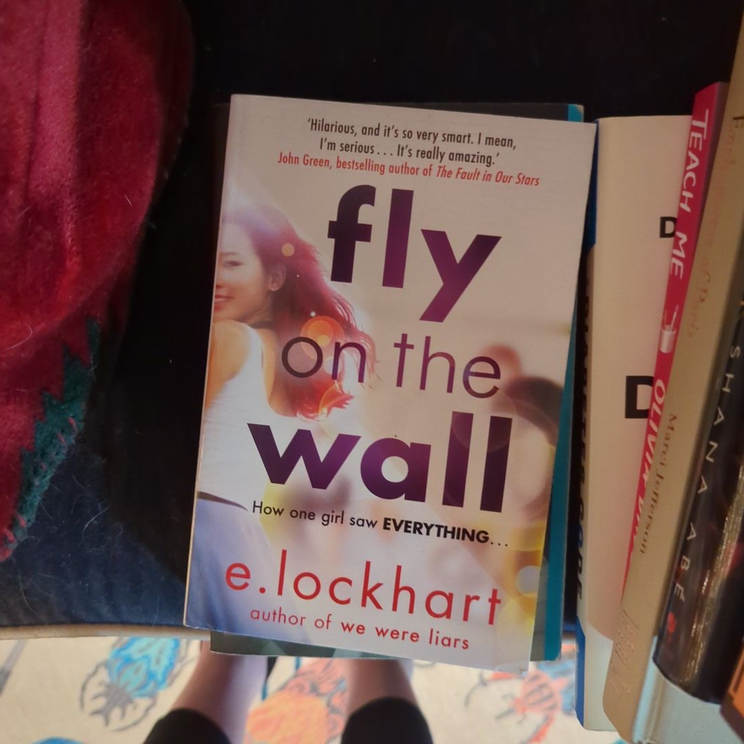 Fly on the Wall