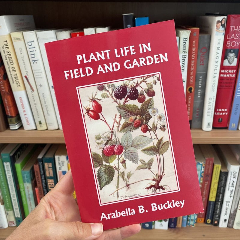 Plant Life in Field and Garden