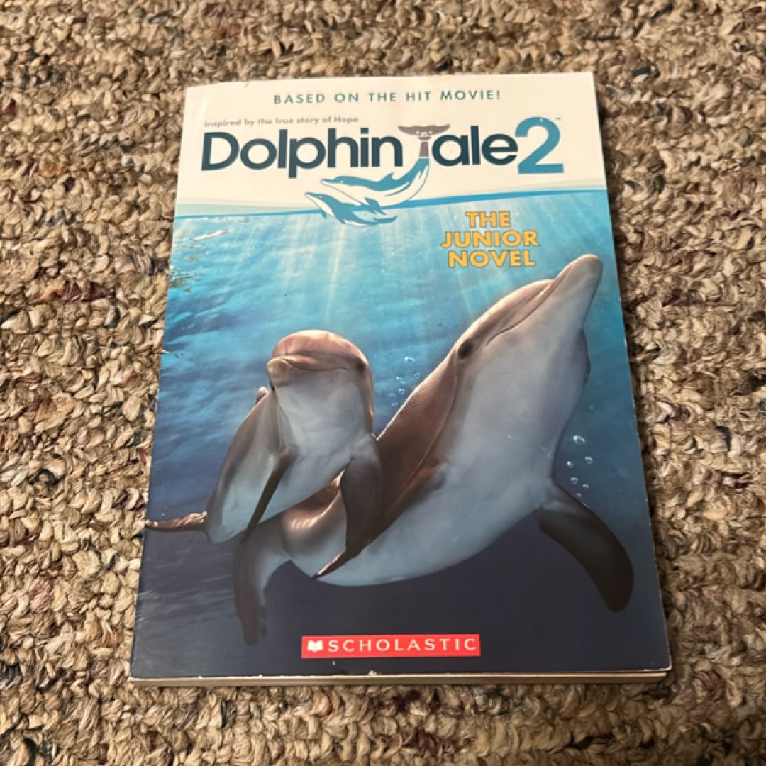 Dolphin Tale 2