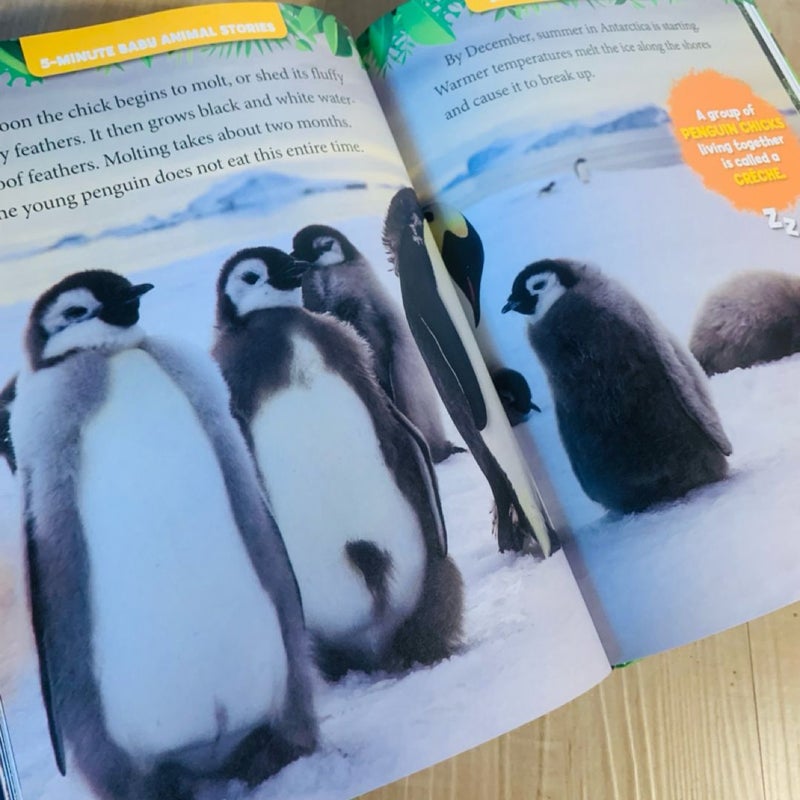 National Geographic Kids 5-Minute Baby Animal Stories