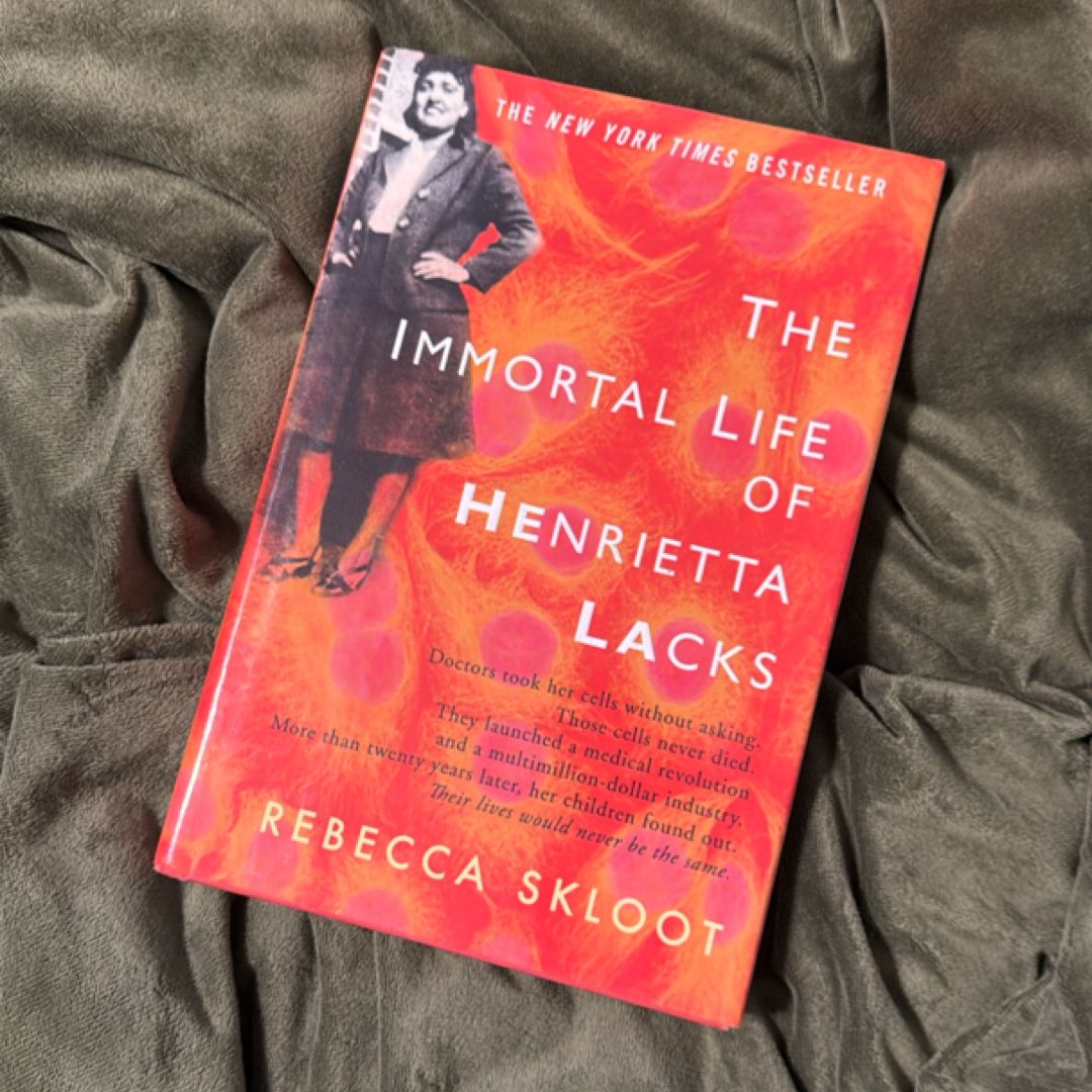 Sale image for 705ec5b5-af77-42f7-aead-c359437b0dd1-SRgnwPp4M1N284IPG7o2iX0SzmK2