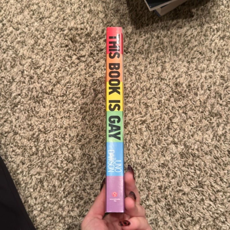 This Book Is Gay