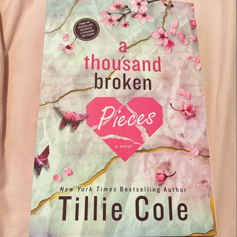 A Thousand Broken Pieces