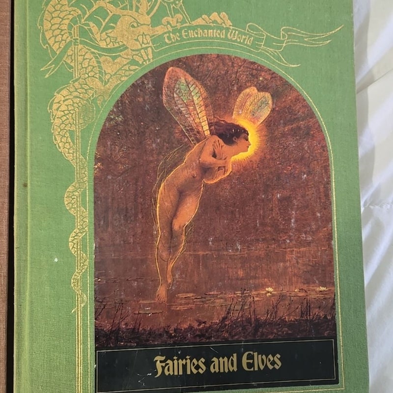 The Enchanted World Series 4 hardcovers Dragon, Fairies and Elves and more. 