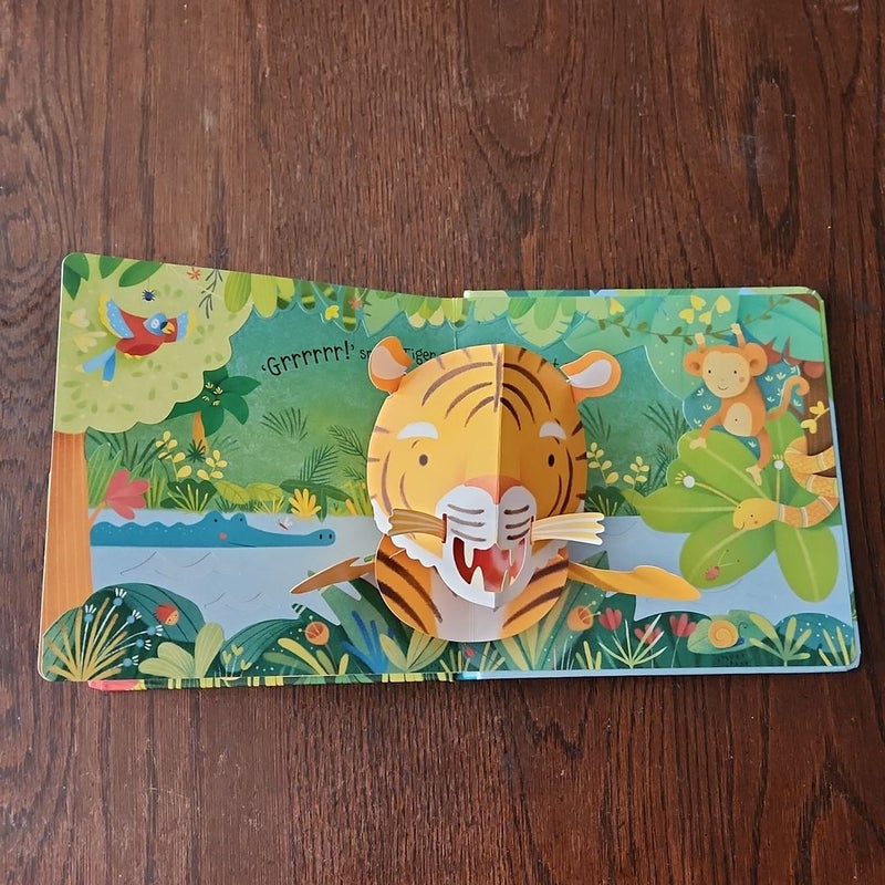 Usborne Pop-up Jungle