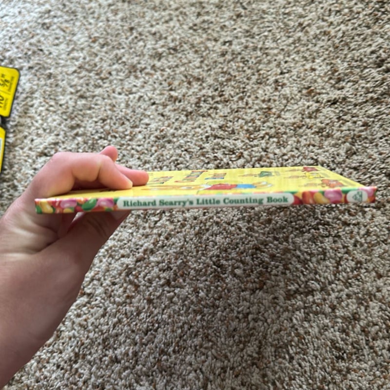 Little counting book