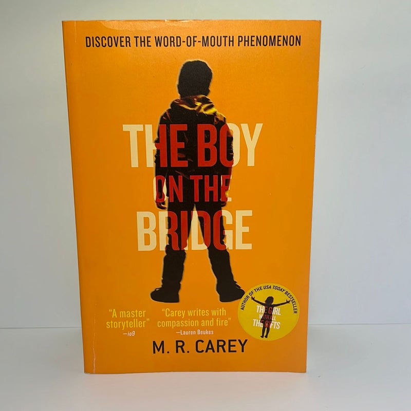 The Boy on the Bridge (The Girl With All The Gifts Series, Book 2) 