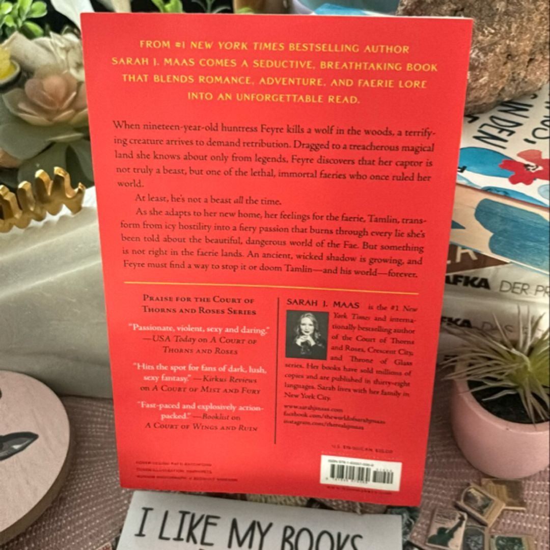 A Court Of Thorns And Roses By Sarah Maas Paperback, 53 OFF